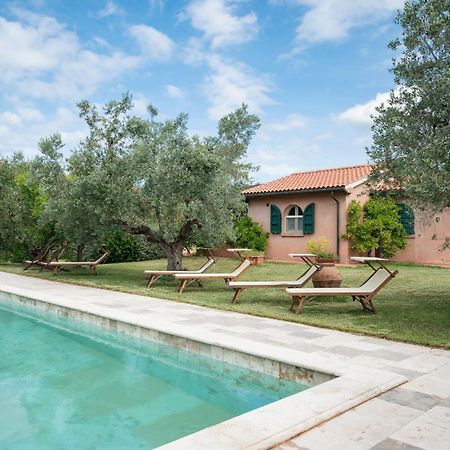 Agriturismo Tra Gli Ulivi, Chiappini Winery Болгери Екстериор снимка
