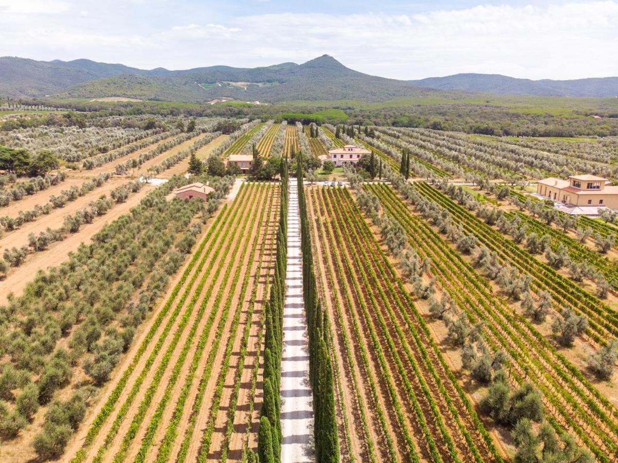 Agriturismo Tra Gli Ulivi, Chiappini Winery Болгери Екстериор снимка