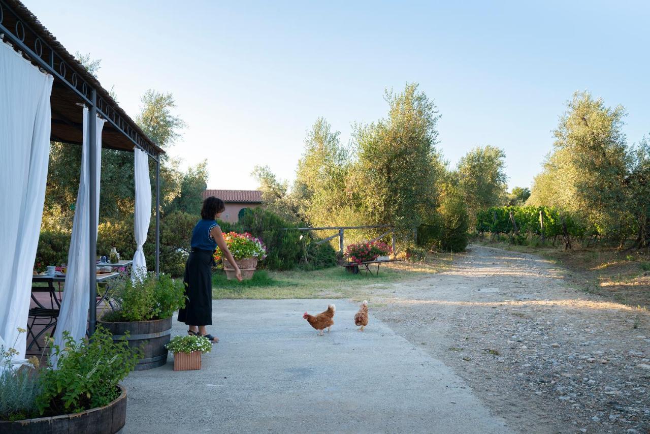 Agriturismo Tra Gli Ulivi, Chiappini Winery Болгери Екстериор снимка
