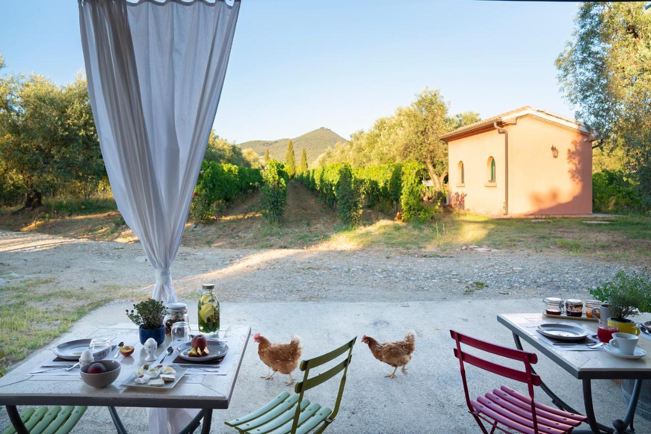 Agriturismo Tra Gli Ulivi, Chiappini Winery Болгери Екстериор снимка