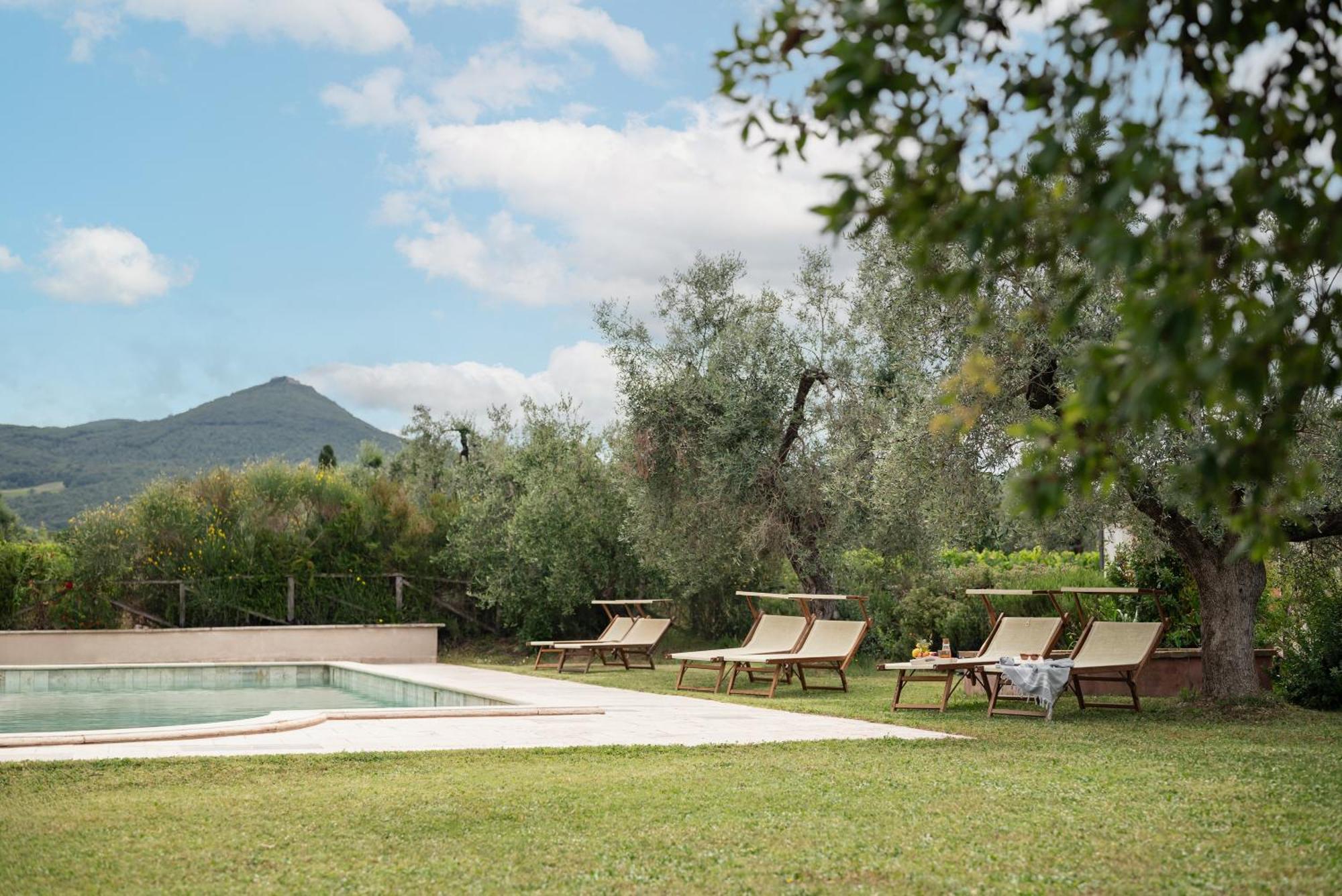 Agriturismo Tra Gli Ulivi, Chiappini Winery Болгери Екстериор снимка