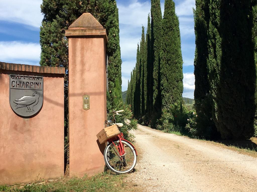 Agriturismo Tra Gli Ulivi, Chiappini Winery Болгери Екстериор снимка