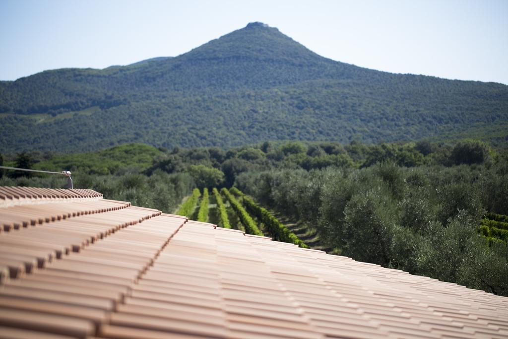 Agriturismo Tra Gli Ulivi, Chiappini Winery Болгери Екстериор снимка