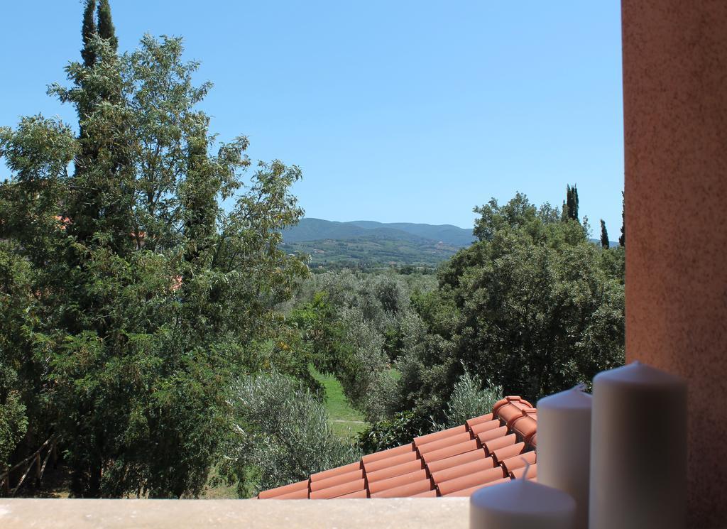 Agriturismo Tra Gli Ulivi, Chiappini Winery Болгери Екстериор снимка